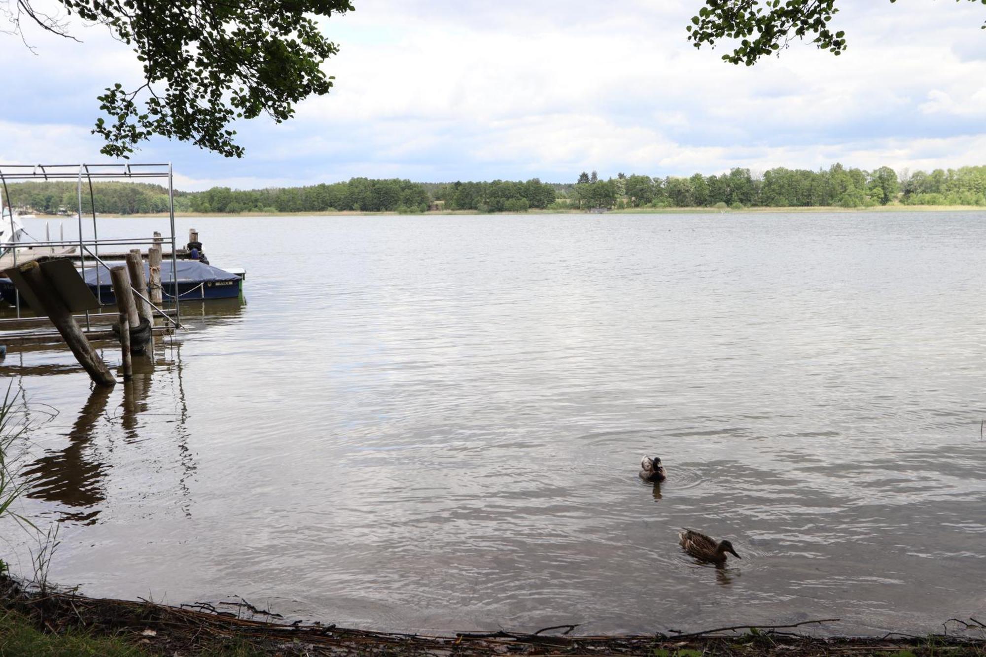 Ferienwohnung Habicht Villa-Paelitzsee Grosszerlang Экстерьер фото